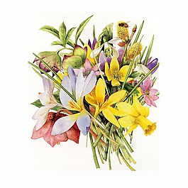位圖 寫意花卉 植物 花朵 免費素材