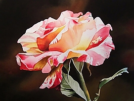 位圖 寫(xiě)意花卉 植物 花朵 免費(fèi)素材