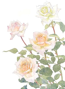 位圖 寫意花卉 植物 花朵 免費素材