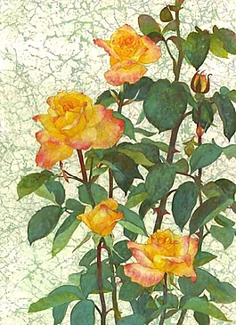 位圖 寫意花卉 植物 花朵 免費(fèi)素材