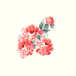 位圖 psd 植物 花朵 免費(fèi)素材