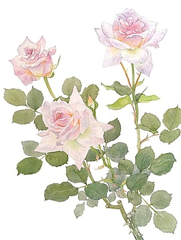 位圖 寫意花卉 植物 花朵 免費(fèi)素材