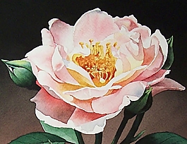 位圖 寫意花卉 植物 花朵 免費(fèi)素材