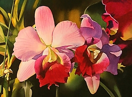 位圖 寫(xiě)意花卉 植物 花朵 免費(fèi)素材