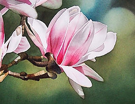 位圖 寫意花卉 植物 花朵 免費素材