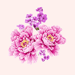 位圖 psd 植物 花朵 免費素材