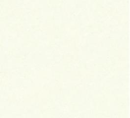 4924_瓷磚_綜合