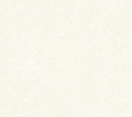 5116_瓷磚_綜合