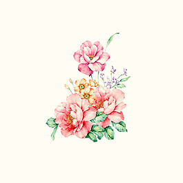 位圖 psd 植物 花朵 免費(fèi)素材