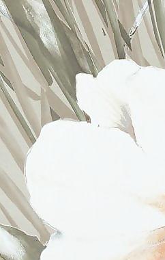 1479_瓷磚_中式