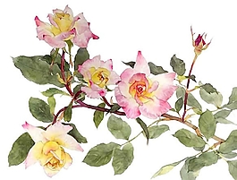 位圖 寫(xiě)意花卉 植物 花朵 免費(fèi)素材