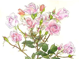 位圖 寫意花卉 植物 花朵 免費素材