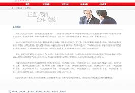 公司網(wǎng)站設(shè)計中文模板2_2圖片