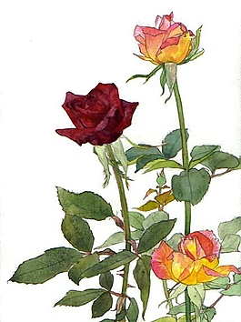 位圖 寫意花卉 植物 花朵 免費素材