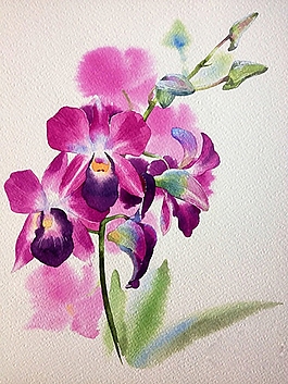 位圖 寫意花卉 植物 花朵 免費(fèi)素材