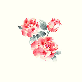 位圖 psd 植物 花朵 免費(fèi)素材