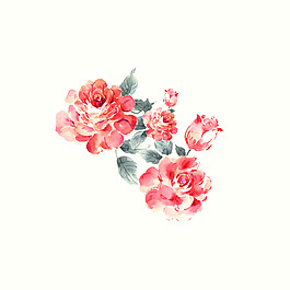 位圖 psd 植物 花朵 免費(fèi)素材