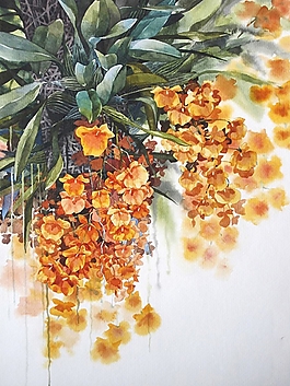 位圖 寫意花卉 植物 花朵 免費(fèi)素材