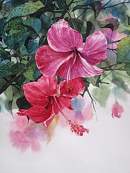位圖 寫意花卉 植物 花朵 免費素材