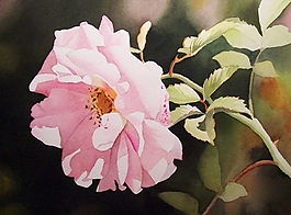 位圖 寫意花卉 植物 花朵 免費(fèi)素材