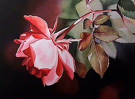 位圖 寫意花卉 植物 花朵 免費素材