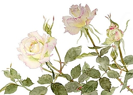 位圖 寫意花卉 植物 花朵 免費素材