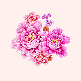 位圖 psd 植物 花朵 免費素材