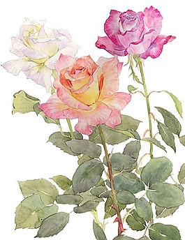 位圖 寫意花卉 植物 花朵 免費(fèi)素材