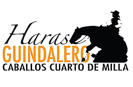Haras_Guindalero logo設(shè)計(jì)欣賞 Haras_Guindalero運(yùn)動(dòng)標(biāo)志下載標(biāo)志設(shè)計(jì)欣賞