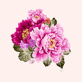 位圖 psd 植物 花朵 免費(fèi)素材