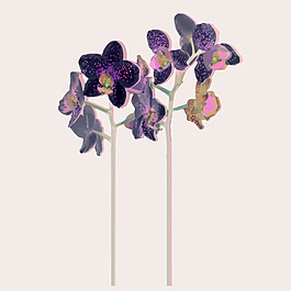 印花矢量图 植物 花朵 人造自然 女装 免费素材