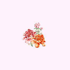 位圖 psd 植物 花朵 pop原創(chuàng) 免費素材