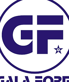GALA_FORM(2) logo設(shè)計欣賞 GALA_FORM(2)體育賽事LOGO下載標志設(shè)計欣賞
