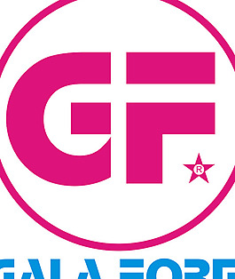 GALA_FORM(1) logo設(shè)計欣賞 GALA_FORM(1)體育賽事LOGO下載標志設(shè)計欣賞