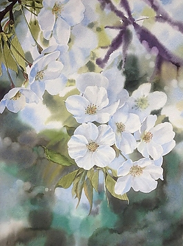 位圖 寫意花卉 植物 花朵 免費素材