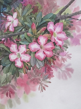 位圖 寫意花卉 植物 花朵 免費素材