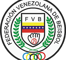 FVB logo設計欣賞 FVB體育賽事LOGO下載標志設計欣賞