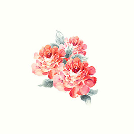 位圖 psd 植物 花朵 免費素材