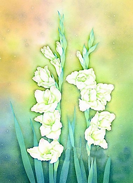 位圖 寫意花卉 植物 花朵 免費素材
