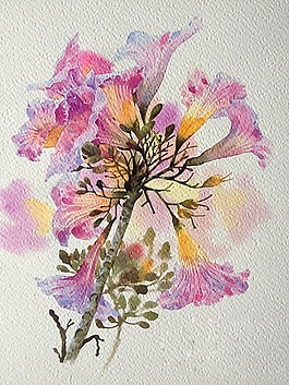 位圖 寫意花卉 植物 花朵 免費素材