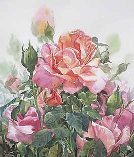 位圖 寫意花卉 植物 花朵 免費(fèi)素材