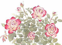 位圖 寫(xiě)意花卉 植物 花朵 免費(fèi)素材