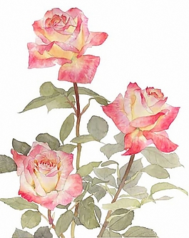 位圖 寫意花卉 植物 花朵 免費(fèi)素材