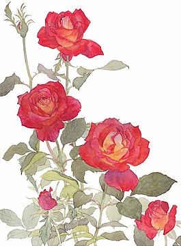 位圖 寫意花卉 植物 花朵 免費素材
