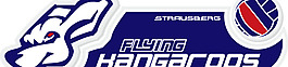 Flying_Kangaroos_Volleyball logo設(shè)計欣賞 Flying_Kangaroos_Volleyball體育賽事標(biāo)志下載標(biāo)志設(shè)計欣賞
