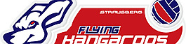Flying_Kangaroos_Volleyball(1) logo設(shè)計欣賞 Flying_Kangaroos_Volleyball(1)體育賽事標(biāo)志下載標(biāo)志設(shè)計欣賞