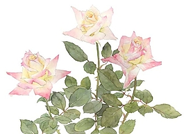 位圖 寫意花卉 植物 花朵 免費素材