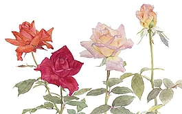 位圖 寫意花卉 植物 花朵 免費素材