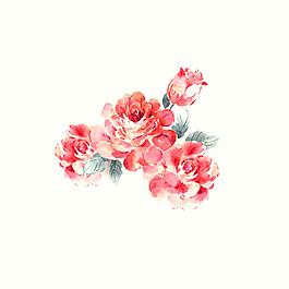 位圖 psd 植物 花朵 免費(fèi)素材