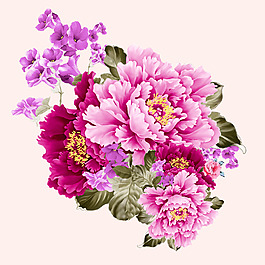 位圖 psd 植物 花朵 免費素材